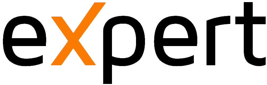 Expert